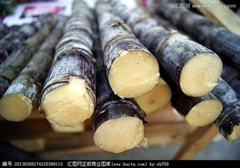 吃甘蔗有哪些好处