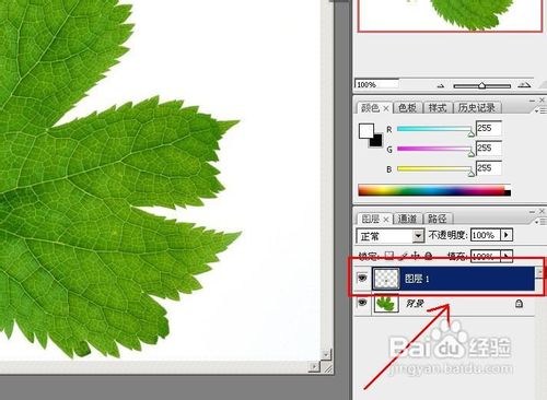 怎样用PS制作水滴