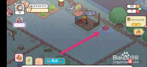 我亲爱的农场如何摆放红木槿花