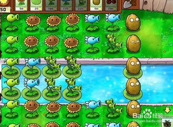 植物大战僵尸泳池2-4关攻略