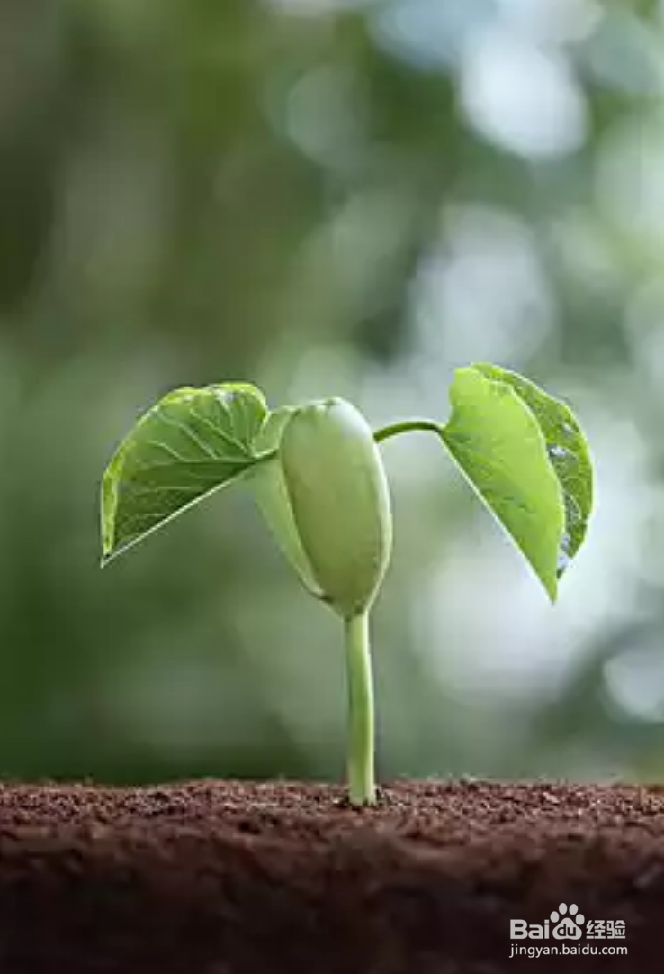 如何对待人生不同境遇？