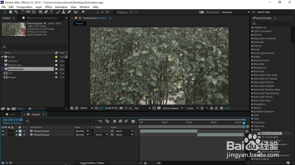 用预设简化在AE中的调色流程