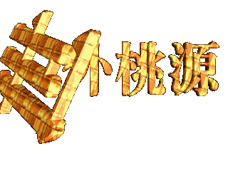 如何给文字添加画廊和倾斜样式