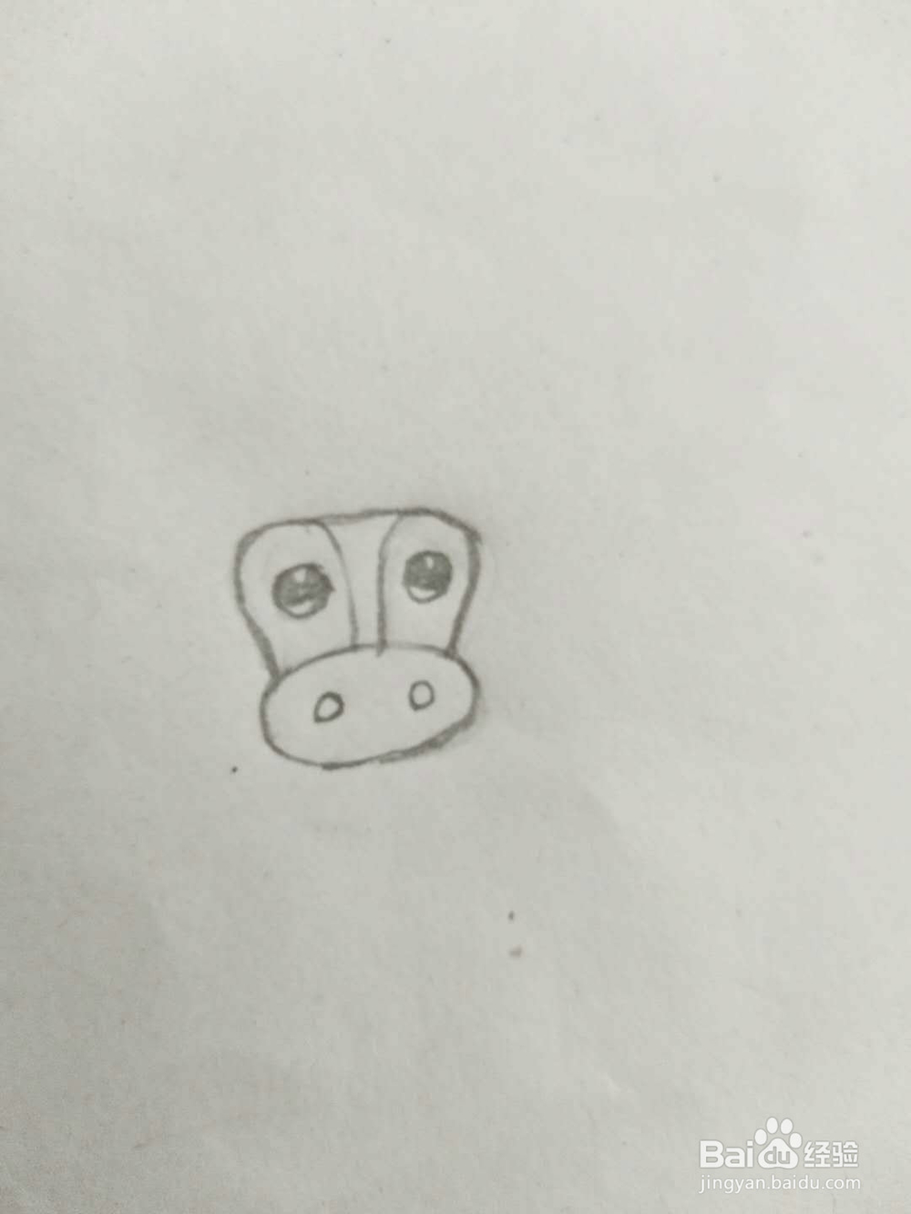 简笔画牛怎么画呢