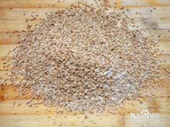 地主风味：鲁西南芝麻盐家庭做法