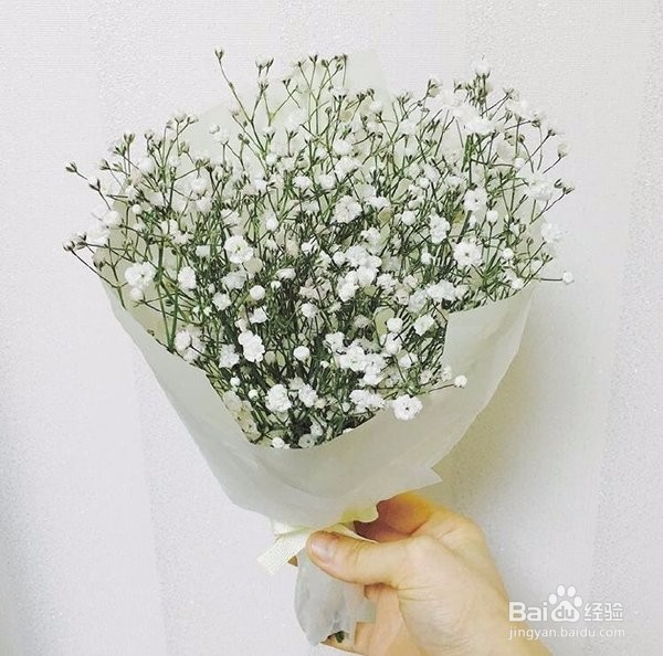 十二星座中一般不与人争，要争就绝不相让的星座