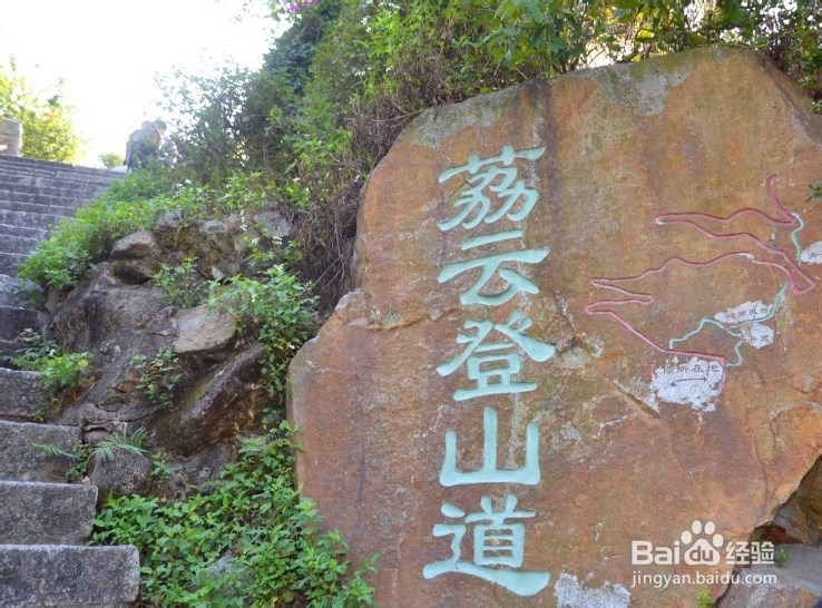 【深圳免费景点篇】塘朗山郊野公园游玩攻略