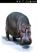 怎样教宝宝识事物