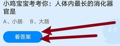 小鸡宝宝考考你:人体内最长的消化器官是