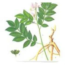 手汗是什么？你知道吗？