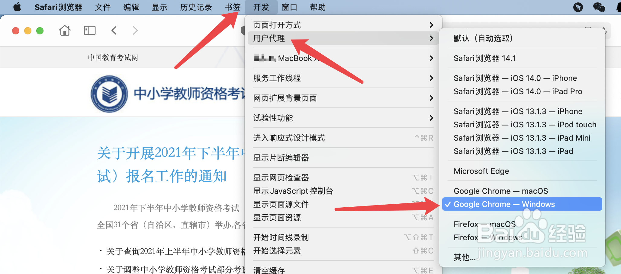 教资报名打不开网页怎么办#校园分享#