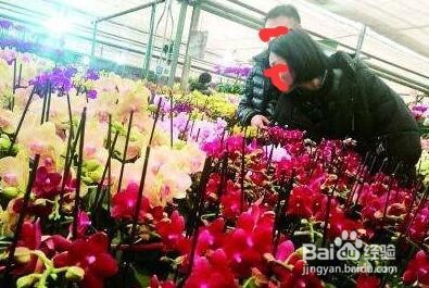 花店创业怎么做