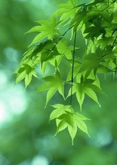 四大必学的创业技巧