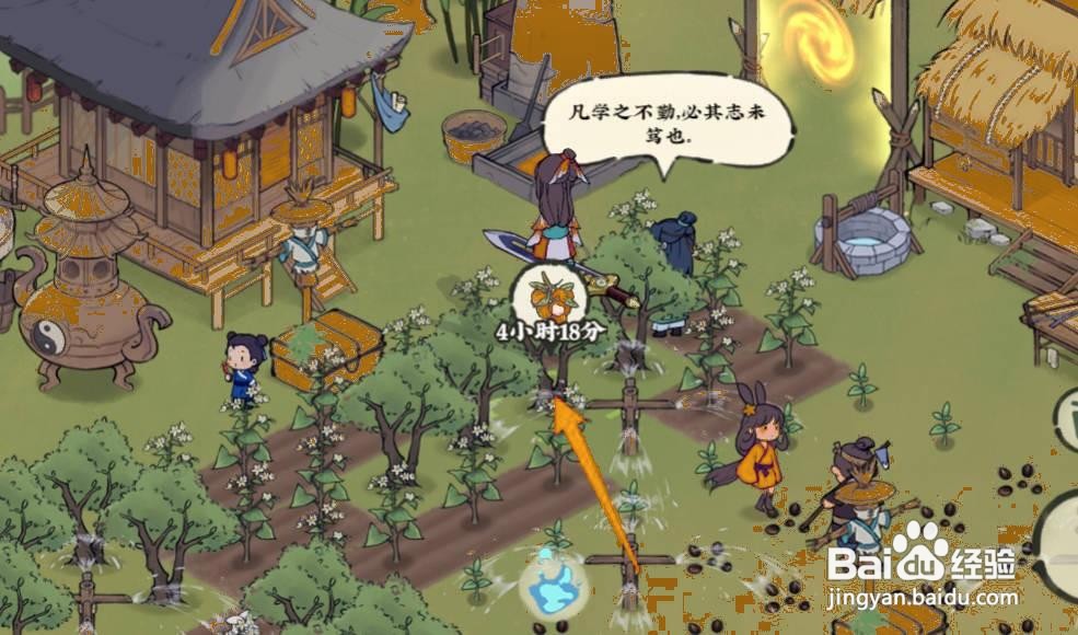 仙山小农如何铲除种植的荔枝树苗?