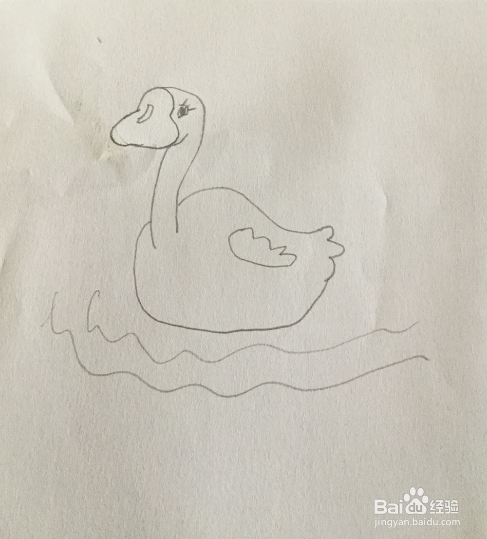 白天鹅简笔画教程