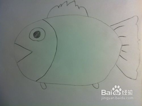 教你画动物——小鱼