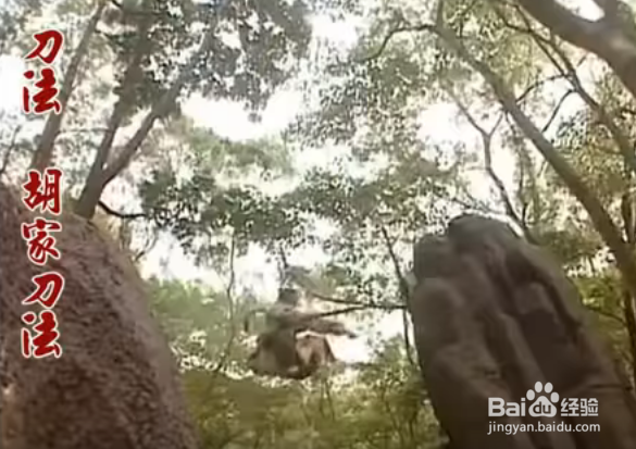 读懂金庸武侠的十种绝世武功