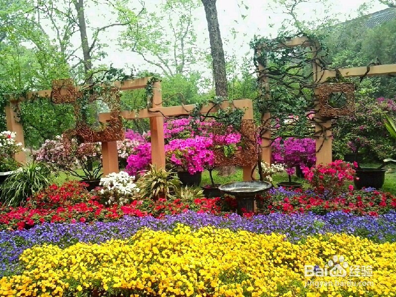 苏州旅游的攻略