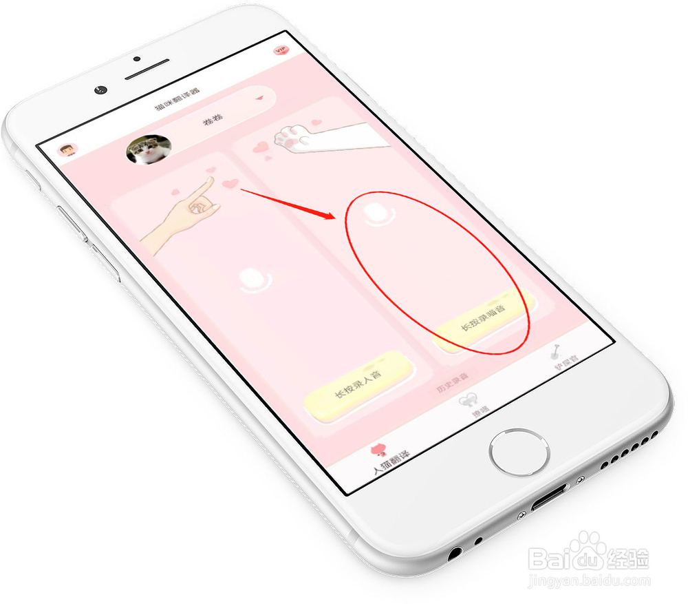什么软件可以翻译猫语