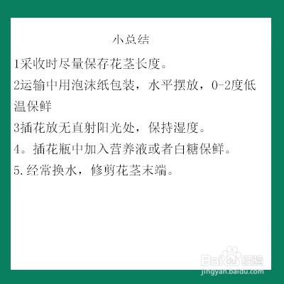 小苍兰鲜切花怎么保鲜