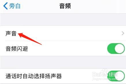 怎么查看iPhone旁白中的未知命令