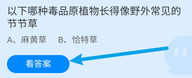 哪种毒品原植物长得像野外节节草?蚂蚁庄园6.26