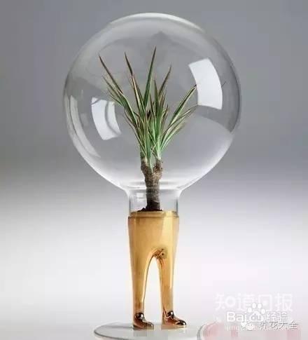 00后竟然用这种花盆,我们都落伍了!