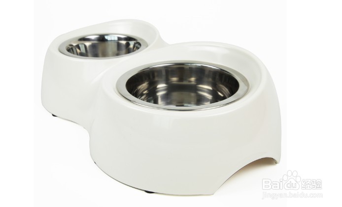 猫喵“黑下巴”健康小贴士