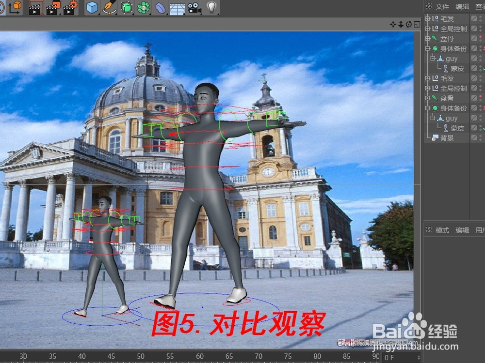 C4D绑定骨骼的象如何进行缩放