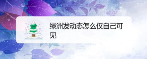 绿洲发动态怎么仅自己可见