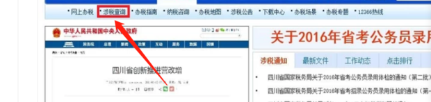 如何查询增值税发票真伪