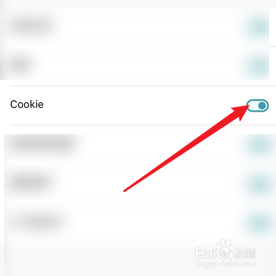 怎么清理Dark Browser的Cookie数据