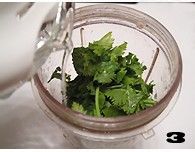 从视觉到味觉的惊艳绽放——【薄荷酱】