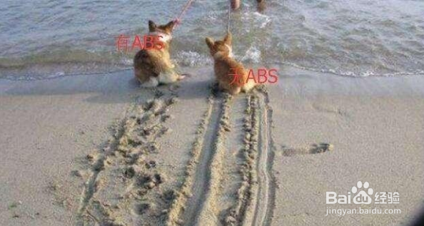 科目四容易错的6道题，看了就不用补考