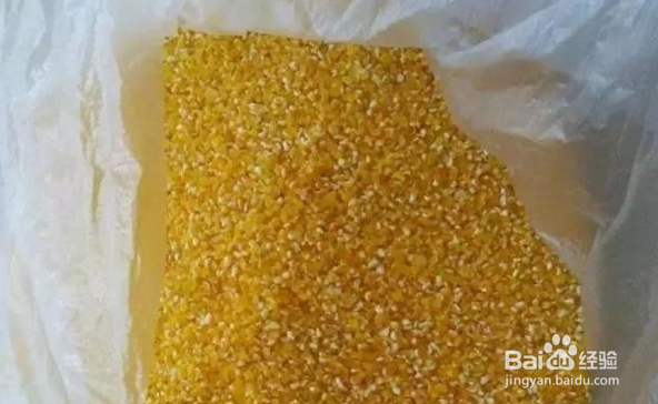 野河钓鲫鱼窝料技巧！渔获57斤 我用了5年