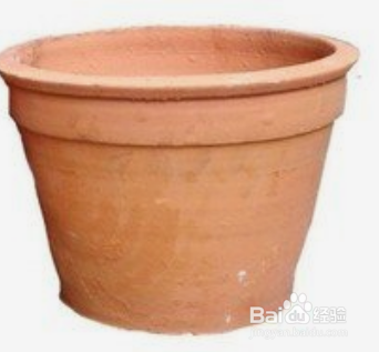 草莓的栽培技术及管理方法