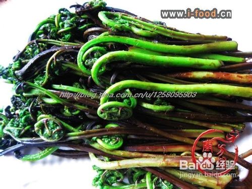 山野菜之二------凉拌水蕨菜