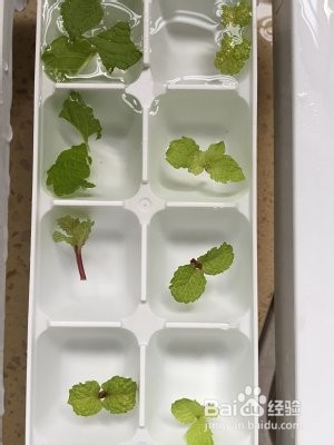 蜜桃酱制作方法