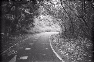 大学生恋爱浅谈