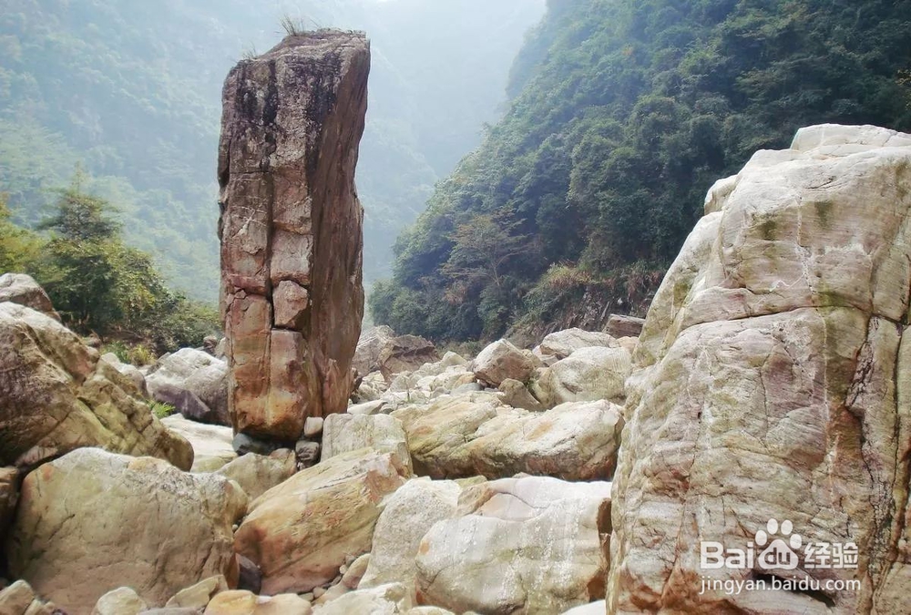 重阳节出行攻略，带父母去九龙江体验瑶畲情