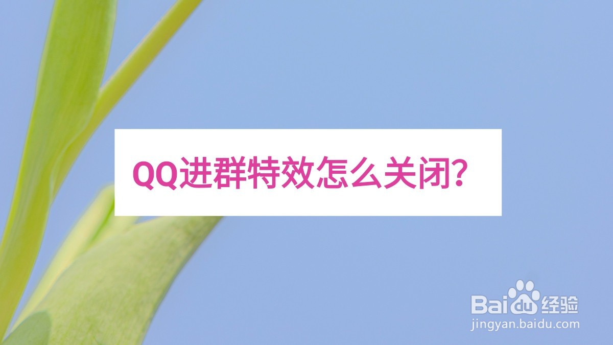 <b>QQ进群特效怎么关闭</b>