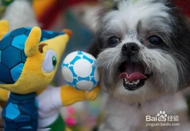 #过年#怎样对付痛经