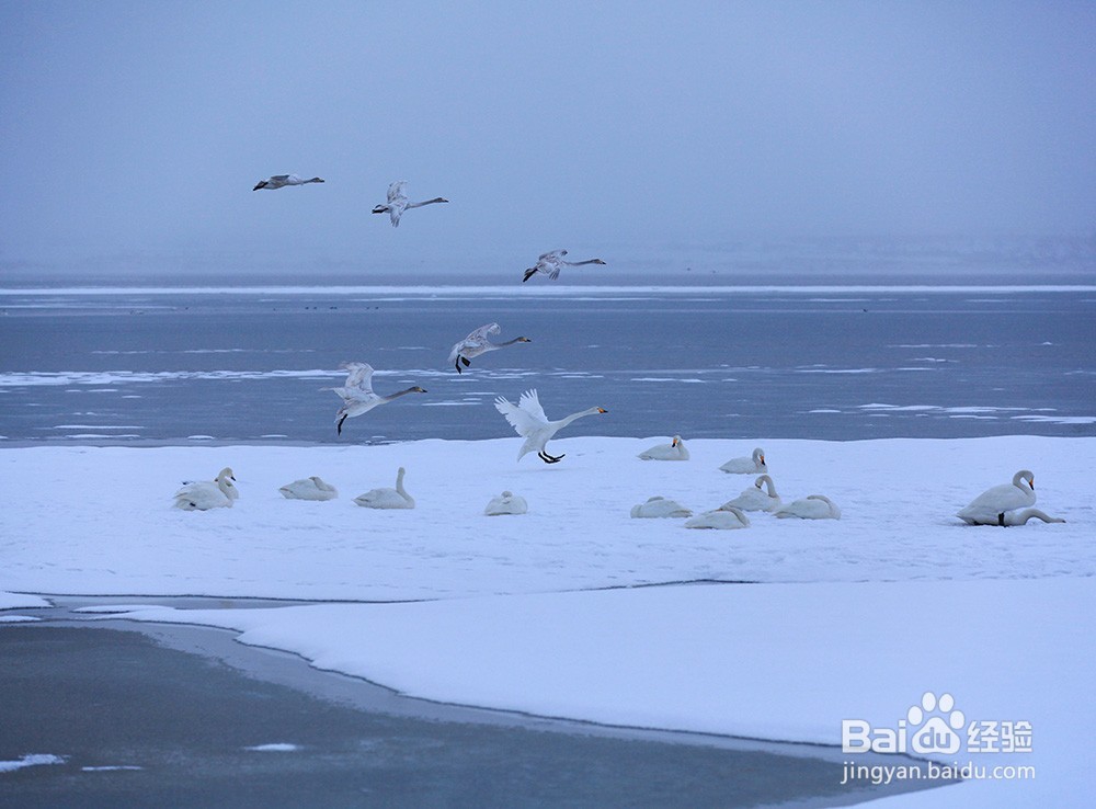威海的免费景点第二波