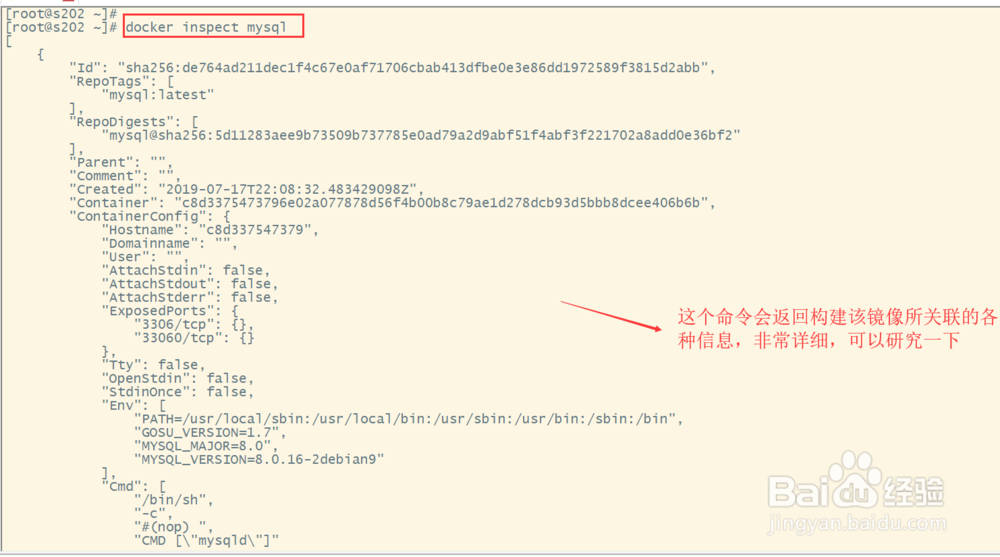 Docker学习--拉取并管理镜像文件