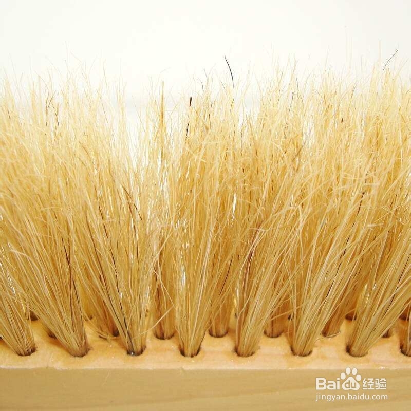 笤帚苗种植技术和方法