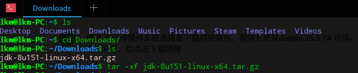 deepin oracle jdk安装配置