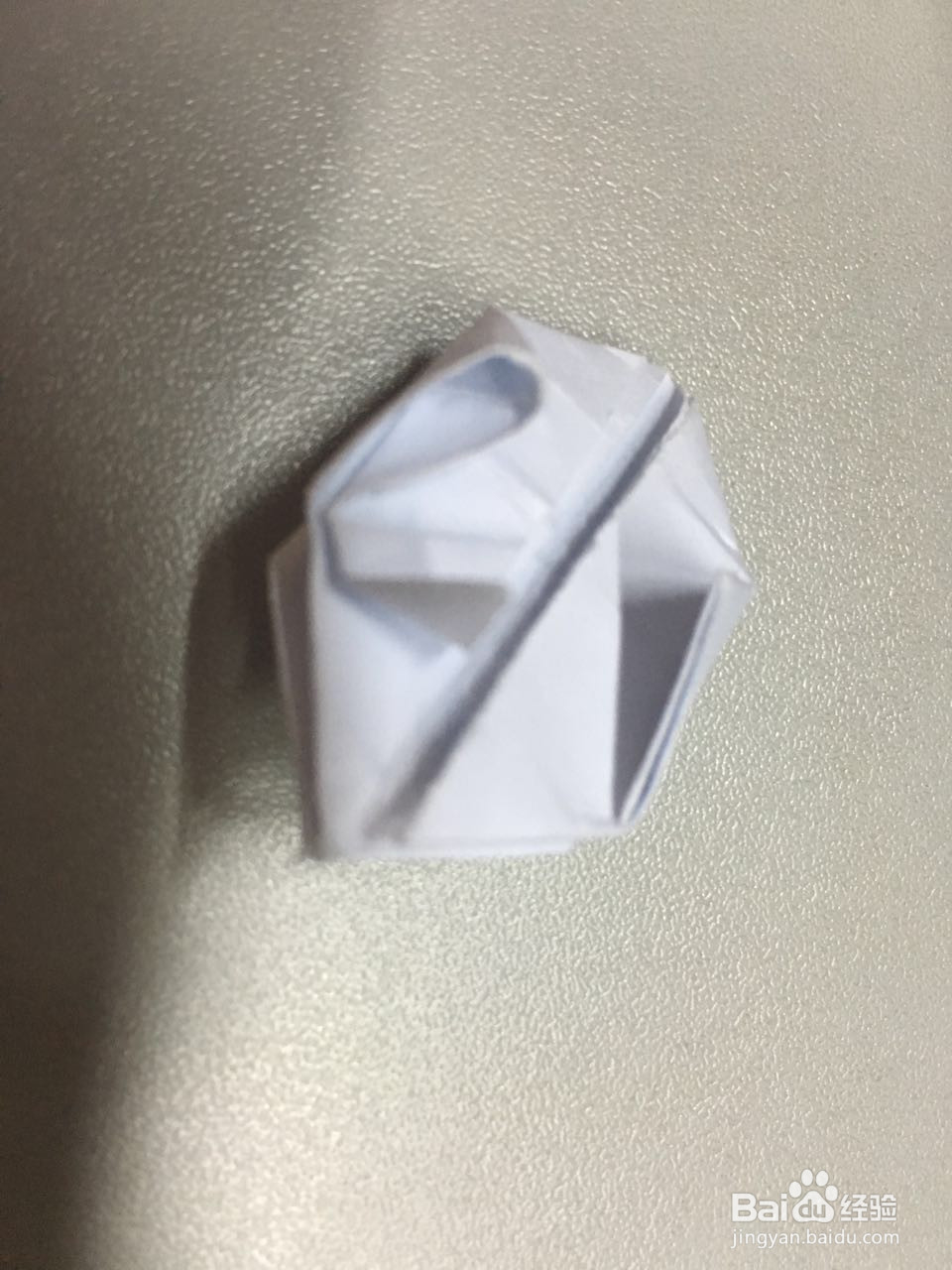 小萌物－－兔兔