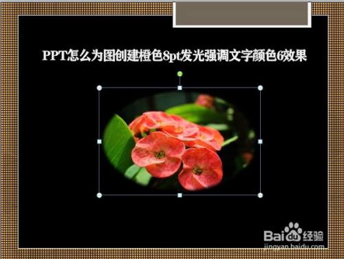 PPT怎么为图创建橙色8pt发光强调文字颜色6效果