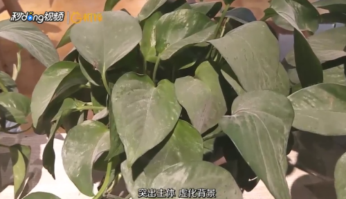 视频拍摄技巧有哪些