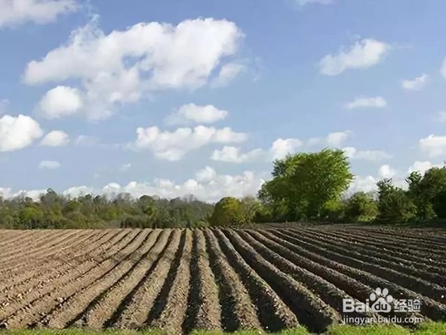 农业用地如何使用